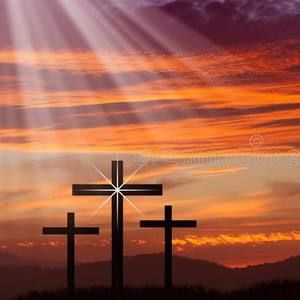 Meet your Posher, Ruben